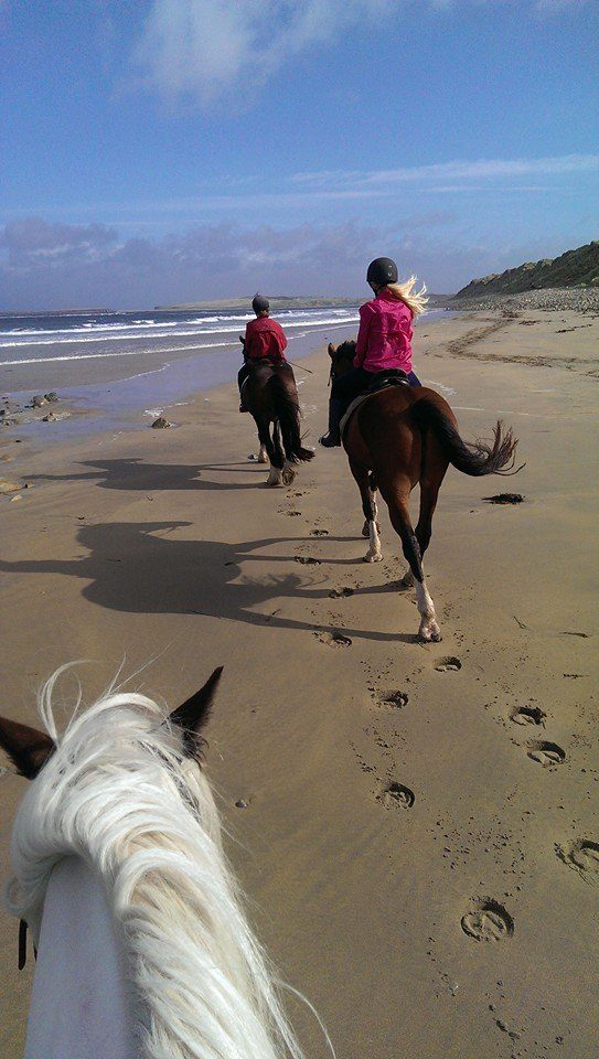 988965_10154822822405231_4336374268024319295_n